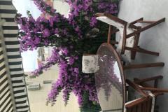 Apartments Sara Baška Voda Apartment 1 – A5 foto 2