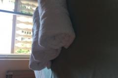 Apartments Meri Apartment 2 – A 6+1 foto 5