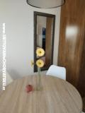 Vacation house Roema Apartment 2 – A studio foto 3