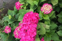 Apartments Jurov Apartment 1 – Studio foto 2