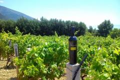 Vacation house Ratac**** Apartment 1 – 2xA5 foto 1