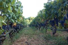 Vacation house Ratac**** Apartment 1 – 2xA5 foto 4