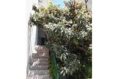 Apartments A &amp; N Bekavac . Apartment 4 – A2+2 foto 5