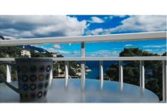 Apartments Vesna  - Brela Apartment 4 – A4 foto 1