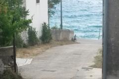 Accommodation Julia Apartment 6 – Julia 6 foto 2