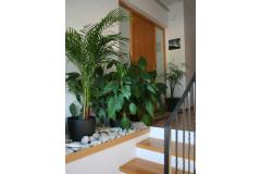 Apartments Katarina Apartment 1 – Ap1 foto 1