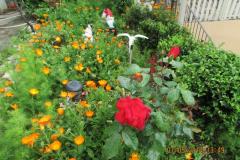 Apartments  Anka Apartment 1 foto 3