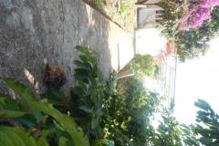 Apartments Diana Apartment 1 – Apartman 1 foto 5