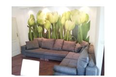 Apartment Estera Apartment 1 foto 1