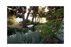 Apartments Garac Apartment 1 foto 4