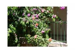 Apartments Majica Apartment 2 – A6 foto 4