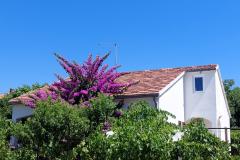 Vacation house - Apartment Milka Apartment 1 – Kuća foto 2