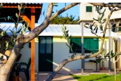 Beach House Amarella Apartment 1 – Amarella foto 2
