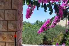 Dva labuda Apartment 5 – Ap.  A5 foto 1