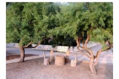 Apartments Mirjana  Apartment 3 – A2 foto 4