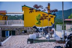 Luxury villa Cvita Apartment 1 – VillaCvita foto 3