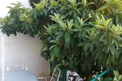 Apartments Duboka Apartment 1 – A2 foto 4