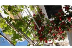 Apartments Kinkela Apartment 3 – studio foto 1