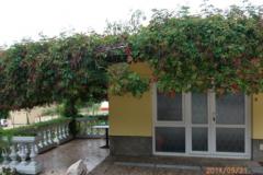 Apartments Milica Apartment 1 – APARTMAN foto 4
