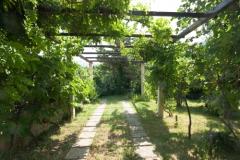 Sea Dream Apartment 2 – Sea Dream2 foto 3