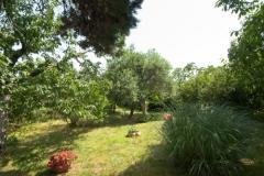 Sea Dream Apartment 2 – Sea Dream2 foto 4