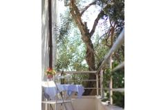 Apartments Zoran Apartment 1 – AP1 foto 5