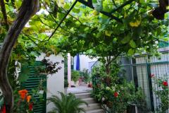 Apartments Vinea Apartment 2 – Vinea A2 foto 2