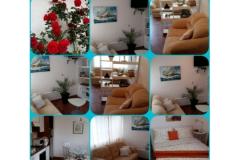 Villa Apartments Sumić Apartment 1 – GREEN OASE foto 4