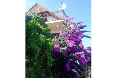House Marino Apartment 1 – marino foto 2