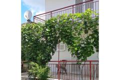 Slavko Šain Apartment 4 – kuča foto 4