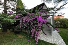Flowers Apartment Medulin, Fucane 2 Apartment 1 – Bugenvilia foto 2