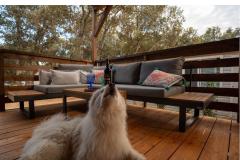 House Sookie Apartment 1 – H. Sookie foto 2