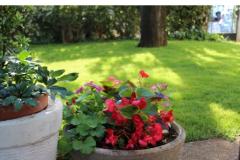 Maena Appartments Apartment 1 – Cozy foto 4