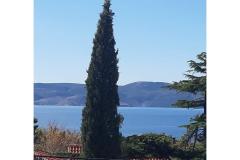 Apartments Sokolić Apartment 1 foto 1