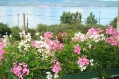 Villa Sunce Apartment 4 – studio 2+2 foto 2