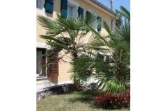 Apartmeni Gobac Apartment 3 – MALI foto 1