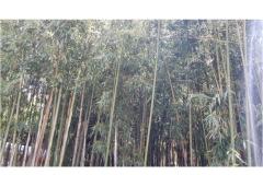 Apartments &amp; rooms  Raspor Room 2 – soba 0 foto 3