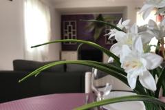 Apartments Luna Apartment 4 – 7 foto 1