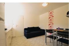 Apartments Petrović Apartment 2 – Apartman 3 foto 1