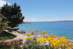 Stargo Apartments Apartment 2 – Blue foto 1