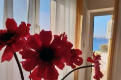 Stargo Apartments Apartment 2 – Blue foto 2