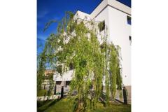 Apartments Dalmacija Apartment 2 – apartman 2 foto 1