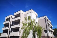 Apartments Dalmacija Apartment 3 – apartman 1 foto 1