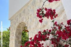 Apartments Ksenija Apartment 4 – LEMONE foto 4