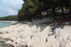 Apartments Varga Apartment 3 – AP4 foto 3