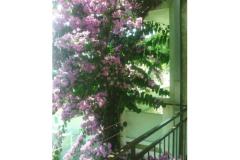 Apartments Kelava Željko Apartment 4 – 2 foto 5