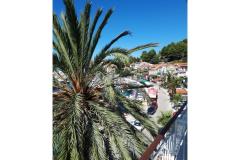 Palm tree apartman Apartment 2 – Palma foto 1