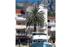 Palm tree apartman Apartment 2 – Palma foto 2