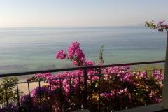 Apartments Jure Apartment 2 – apartman1 foto 1