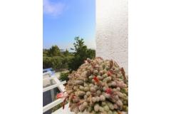 Apartments Gordana Apartment 1 – Novi foto 3